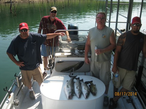 Nice Striped Bass